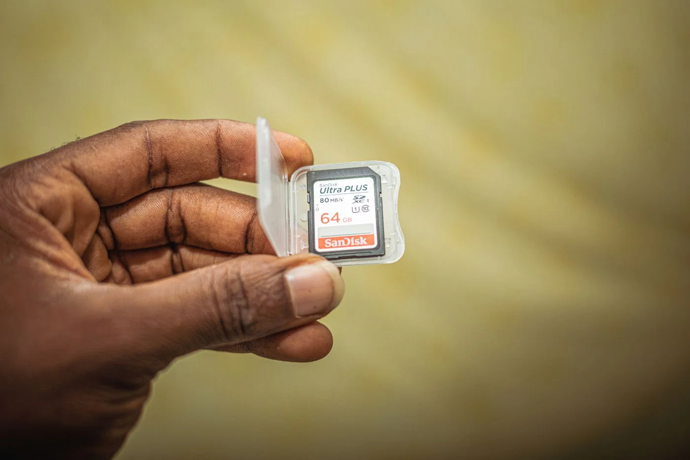 Hand holding an SD memory card